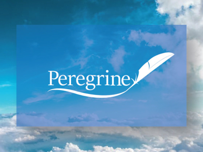 Peregrine: conceptual logo design corporate identity logo vector