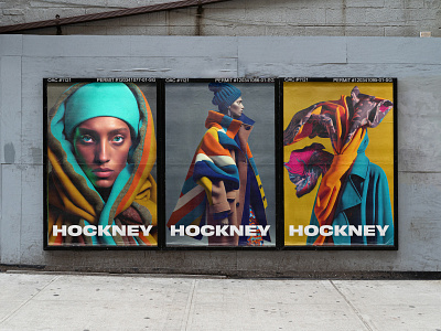 Hockney | Exploration ai brand branding design midjourney