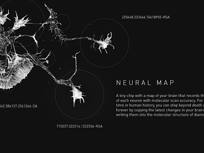 Neural Map Graphics grey illustration map medical minimal neuron simple typoghraphy ui white
