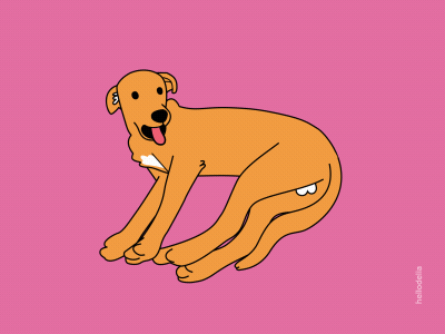 Rebound: Relaxing puppy 2d aftereffects animation character design flatdesign flatillustration graphicdesign icon illustration motiongraphics vector