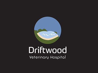Driftwood Logo bay concept flat hospital logo minimal pet simple stethoscope vet veterinary