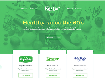 Landing page - Vegan Food brand food fresh green healthy landing landing page page retro website