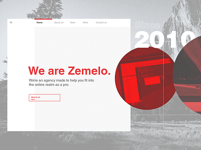 Landing page for Zemelo.dk