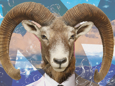 Animalia - Goat animal animalia goat photomanipulation poster surreal