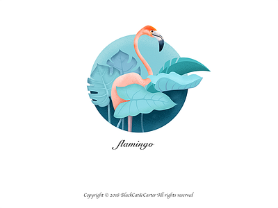 Illustration Collection-flamingo illustration