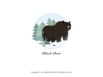 Illustration Collection-Black Bear illustration