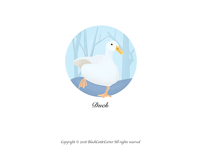 Illustration Collection-Duck illustration