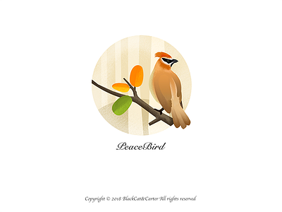 Illustration Collection-PeaceBird illustration