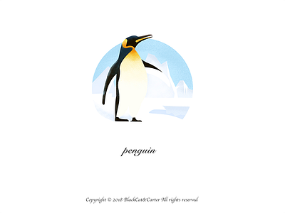 Illustration Collection-penguin illustration