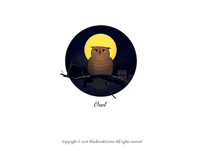 Illustration Collection-Owl illustration