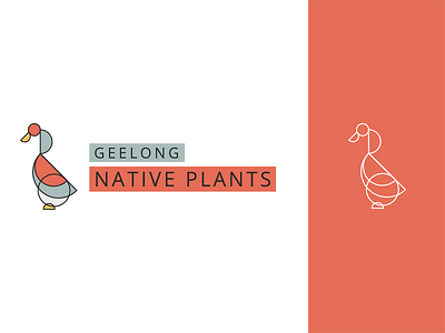 Australian Native Plant Nursery Logo bird branding illustration line logo natural simple soft colors water bird