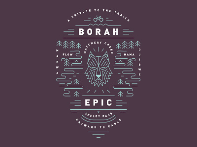 Borah Epic bike borah cycle epic mountain bike race trails wolf woods