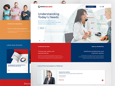 PrimeVigilance branding responsive ui ux web design website