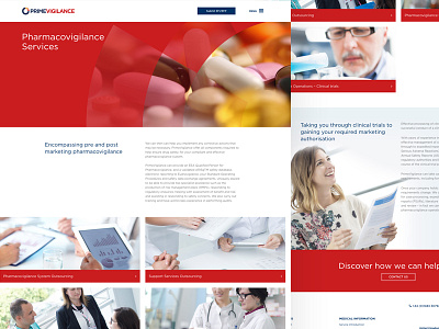 PrimeVigilance – Pharmacovigilance Services branding responsive ui ux web design website