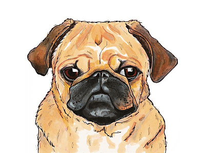 Pug dog drawing illustration marker pug