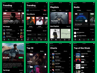 Heavy UI Kit: Music app colorful dark ios light mobile profile sketch ui uikit