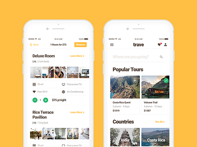 Trave UI Kit app colorful dark ios light mobile profile sketch ui uikit