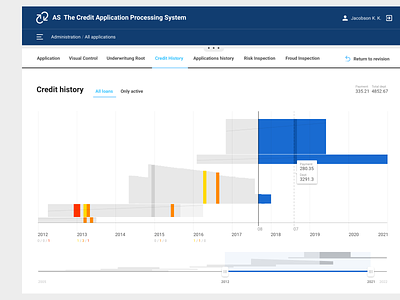 Data visualization bank banking app credit history enterprise graph histogram infographic loans