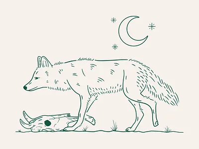 Coyote apathy cow coyote desert green illustration moon plants procreate skull stars west