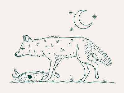Coyote apathy cow coyote desert green illustration moon plants procreate skull stars west