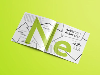 Neutraface Brochure brochure design font house illustration modern neutraface serif typeface