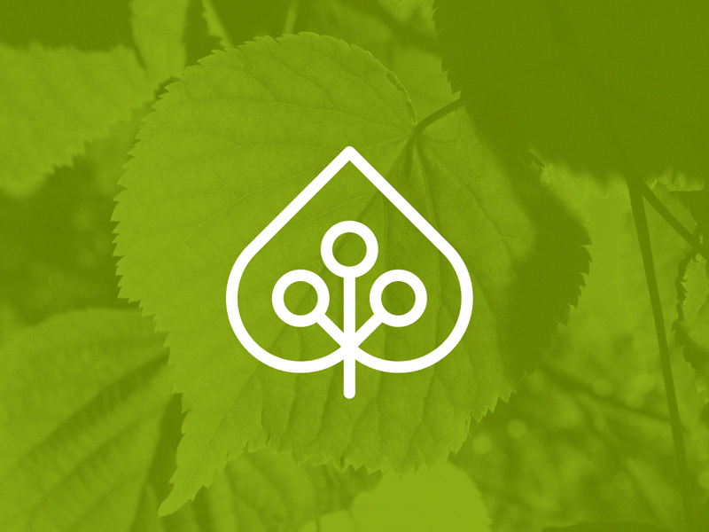 Česká Biokosmetika bio branding cosmetics czech design geometric identity leaf logo natural vector