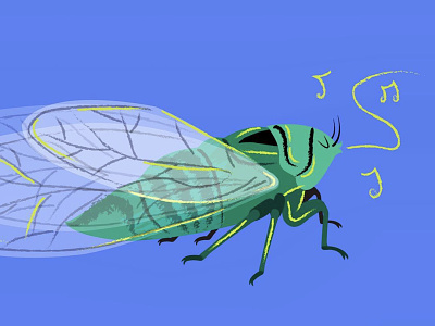 The New Zealand Bug Book: Cicada bug bugs character cicada illustration insects