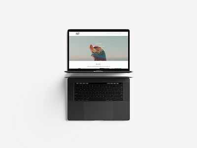 Nathanial Totten | Personal Site