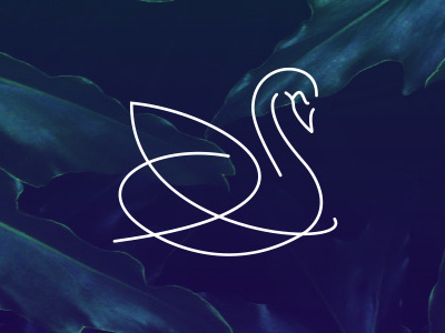Swan Logo branding logo swan