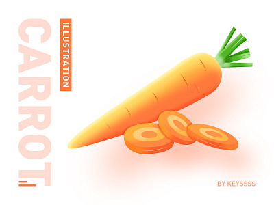 Carrot illustration