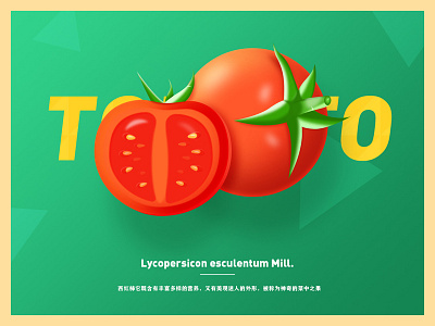 tomato illustration