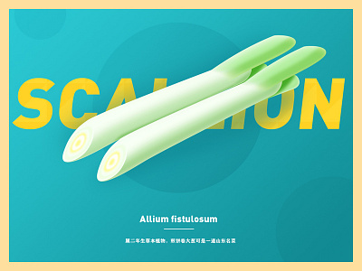 scallion illustration