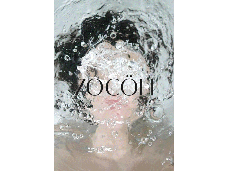 ZOCÖH Identity clean e comm e commerce fashion identidad identity identity design logo market place minimal typography