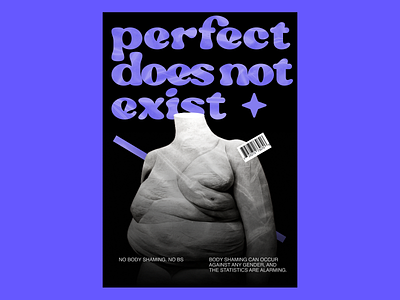 Perfect does not exist art bodyshaming design graphic design poster poster art posterdesign typography typographyposter