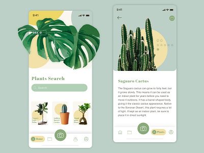 Plants Search App