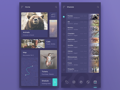 app zoo animals app application appzoo design lobby mobile shedule ui zoo