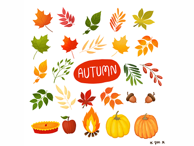 Autumn Leaf Collection autumn illustration leaf