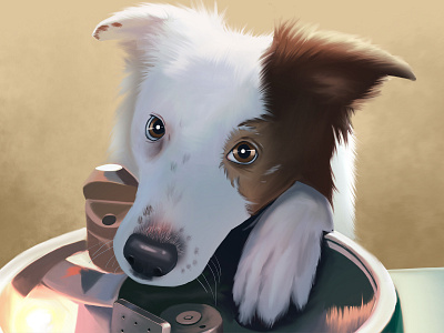 Zydeco border collie digital painting dog illustration procreate