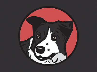 Flash border collie dog flash illustration