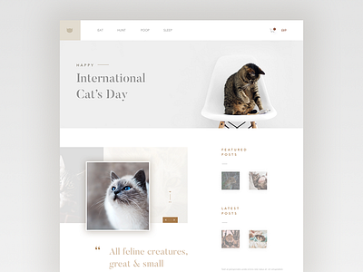 Daily ui no.24 - Happy International Cat's Day cat cats layout ui user interface ux visual design visual designer web web design web designer