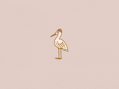 Beanie Birdie beanie bird birdie hand drawn illustration illustrator procreate stork texture