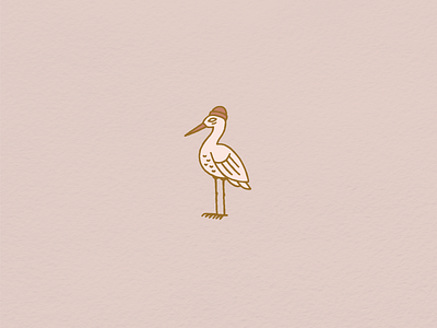 Beanie Birdie beanie bird birdie hand drawn illustration illustrator procreate stork texture