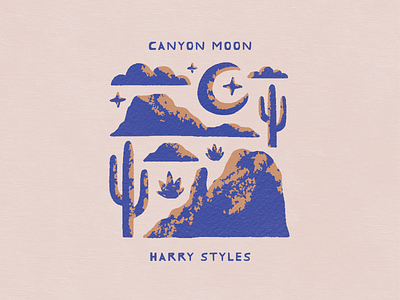 Canyon Moon cactus canyon desert harry styles illustration illustrator landscape moon texture typography