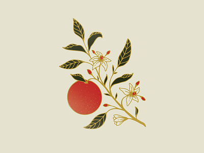 Bloody Orange botanical bough color palette digital drawing graphic design illustration line work orange procreate