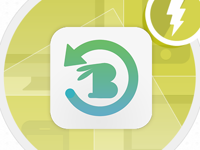 BunnyBackUp app design flat icon