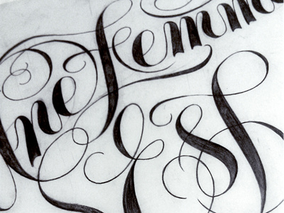 Une Femme Est Une Femme design drawing illustration letterforms lettering script sketch type type design typography