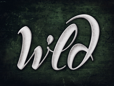 Wild design drawing lettering script type type design typography
