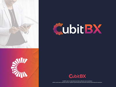 CubitBX