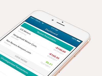 Dash 💵 accounting app credit dashboard debit indinero ios mobile money ui