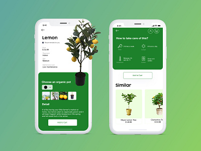 Product Description - Plant Shopping Mobile App description design ecommerce plant plant shop sketch ui